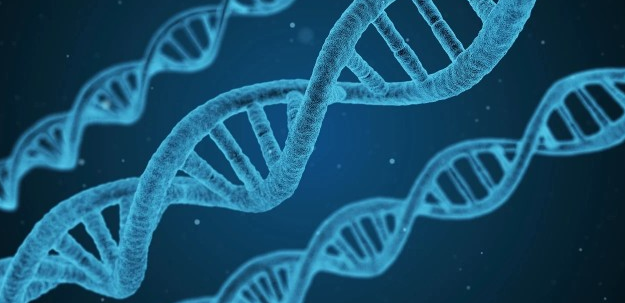 5分左右的生物综合性sci期刊