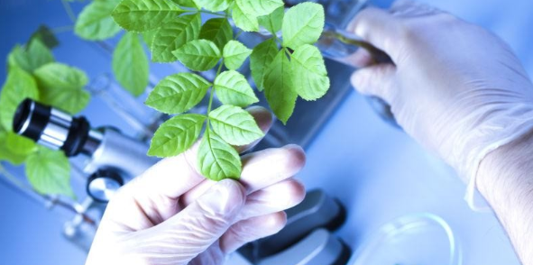 植物生理方向来者不拒的sci期刊