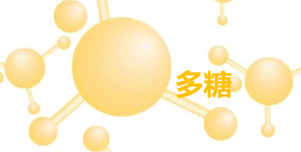 与多糖相关的sci期刊有哪些