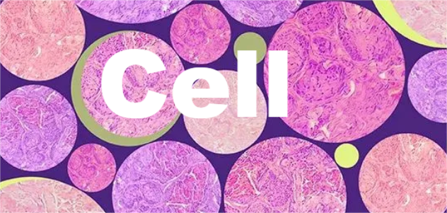 cell旗下的10本优秀子刊推荐