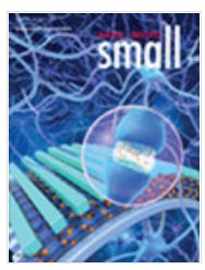 small期刊