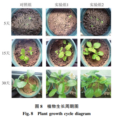 植物生长周期图