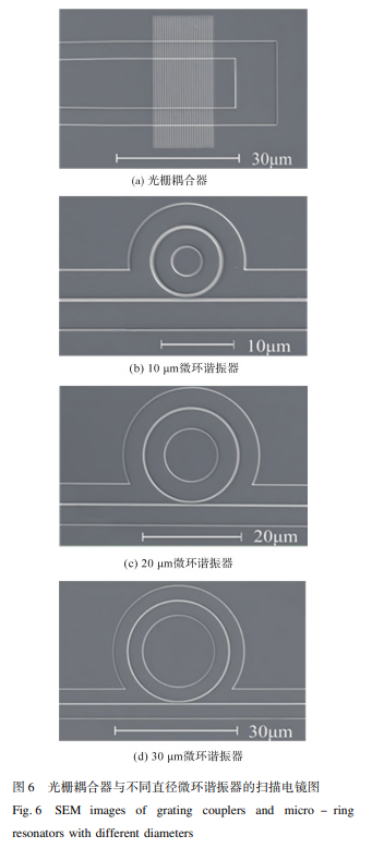 光栅耦合器与不同直径微环谐振器的扫描电镜图