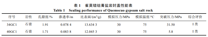 雀莫错组膏盐岩封盖性能表 