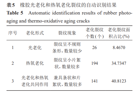 橡胶光老化和热氧老化裂纹的自动识别结果