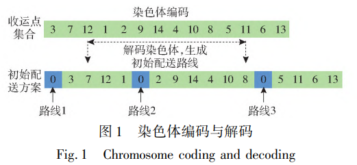 染色体编码与解码
