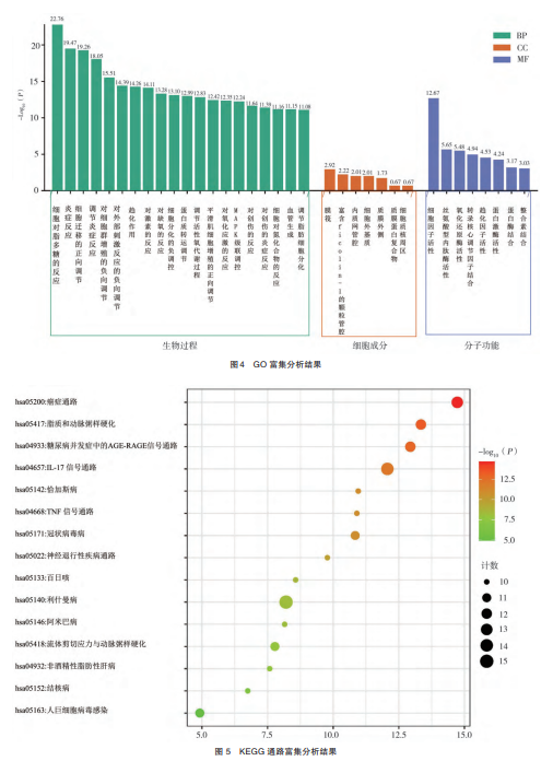 KEGG 通路富集分析结果