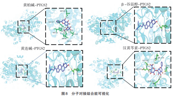 分子对接结合能可视化