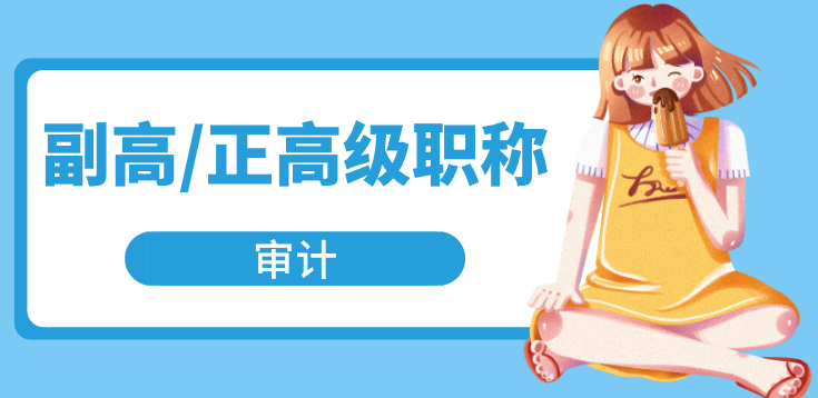 审计正副高职称