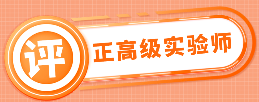 正高级实验师业绩成果