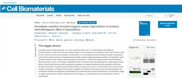 东南大学！聚焦胰腺癌治疗，“最新”成果登上《Cell Biomaterials》期刊，正式发表