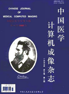 中国医学计算机成像