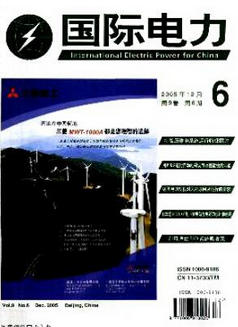 国际电力