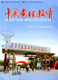 中国农村教育