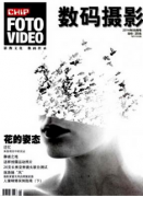 现代摄影艺术形式有何法则