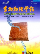 普通高中物理实验如何教学