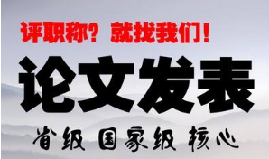 论文发表