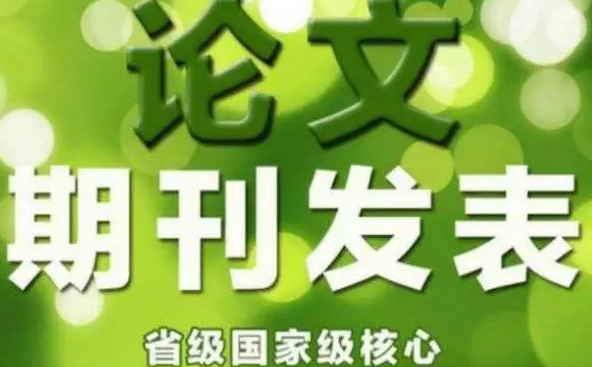 论文发表