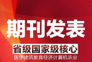 论文发表