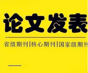 论文发表
