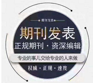 论文发表