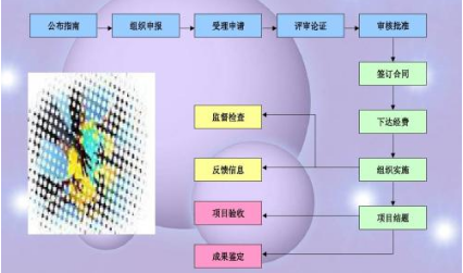 课题研究进展
