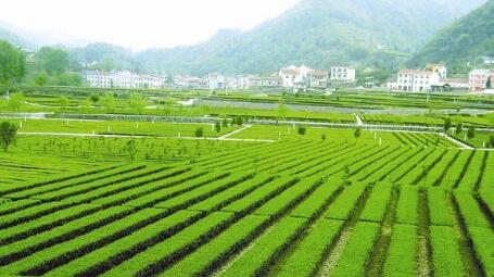 农 业生态环境建 设