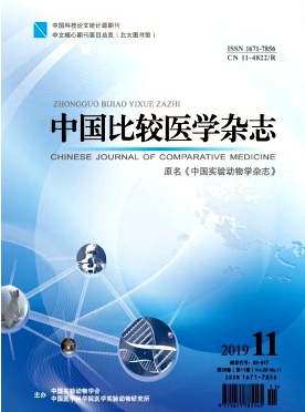 中国比较医学
