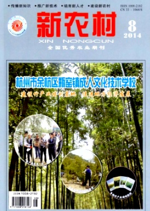 新农村杂志