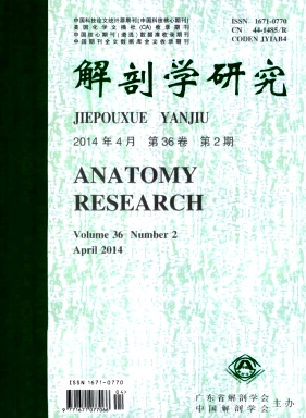 解剖学研究杂志
