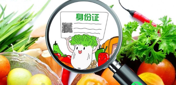 农产品质量安全追溯体系研究
