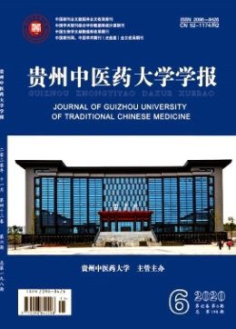 贵州中医药大学学报是什么级别