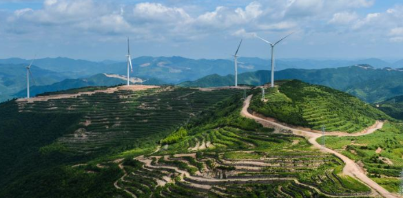 我国采矿区植物景观的生态环境设计研究