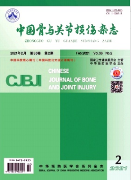 中国骨与关节损伤杂志是不是北核