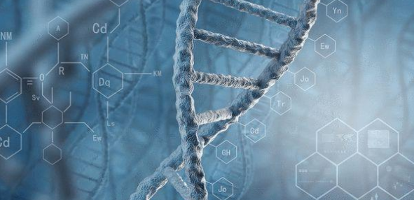 分子生物学技术在医学检验中的有效应用