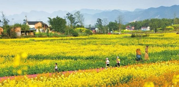 邢台休闲农业和乡村旅游发展研究