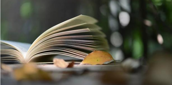 河北省高级教师职称评审条件有哪些