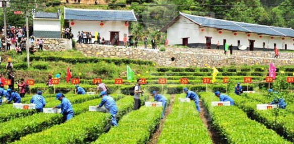 武汉旅游休闲农业发展探讨