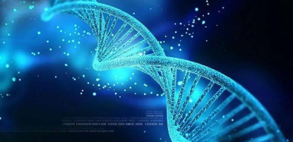 生物信息学的中文核心期刊有哪些