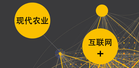 思考现代网络信息对农村经济发展的积极作用
