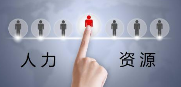 高级经济师人力资源管理发展战略研究