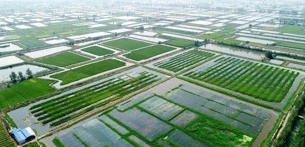 浅析市场经济条件下农村水利经济发展