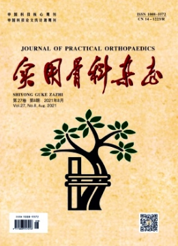 实用骨科杂志是核心期刊吗