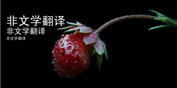 文学与非文学作品翻译转换的对比研究