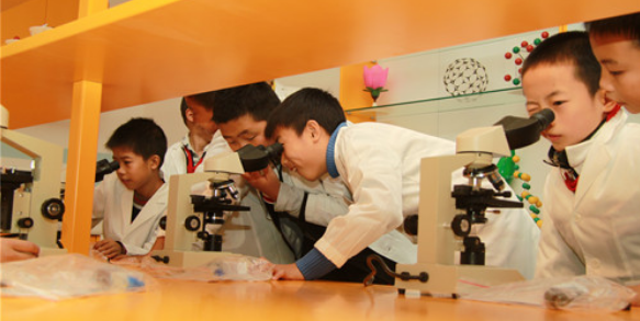 小学科学角色体验式探究任务设计