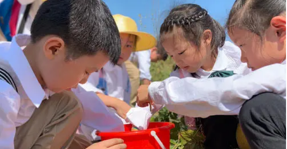 小学劳动教育教学中渗透德育的策略初探