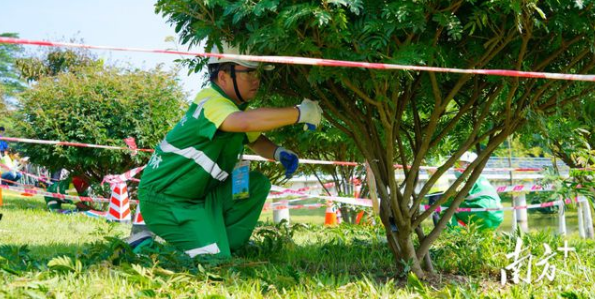 园林绿化工程反季节绿化施工技术措施的研究