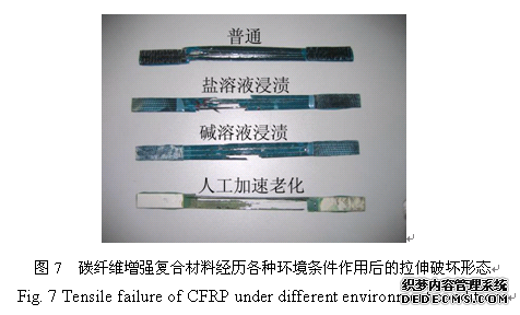 碳纤维各种环境下拉伸后的形态