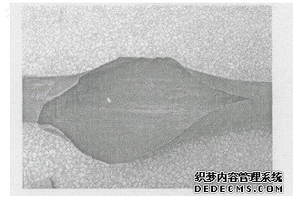 图1喷燃器煤粉一次风吹爆水冷壁管