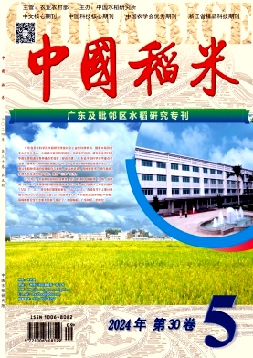 中国稻米